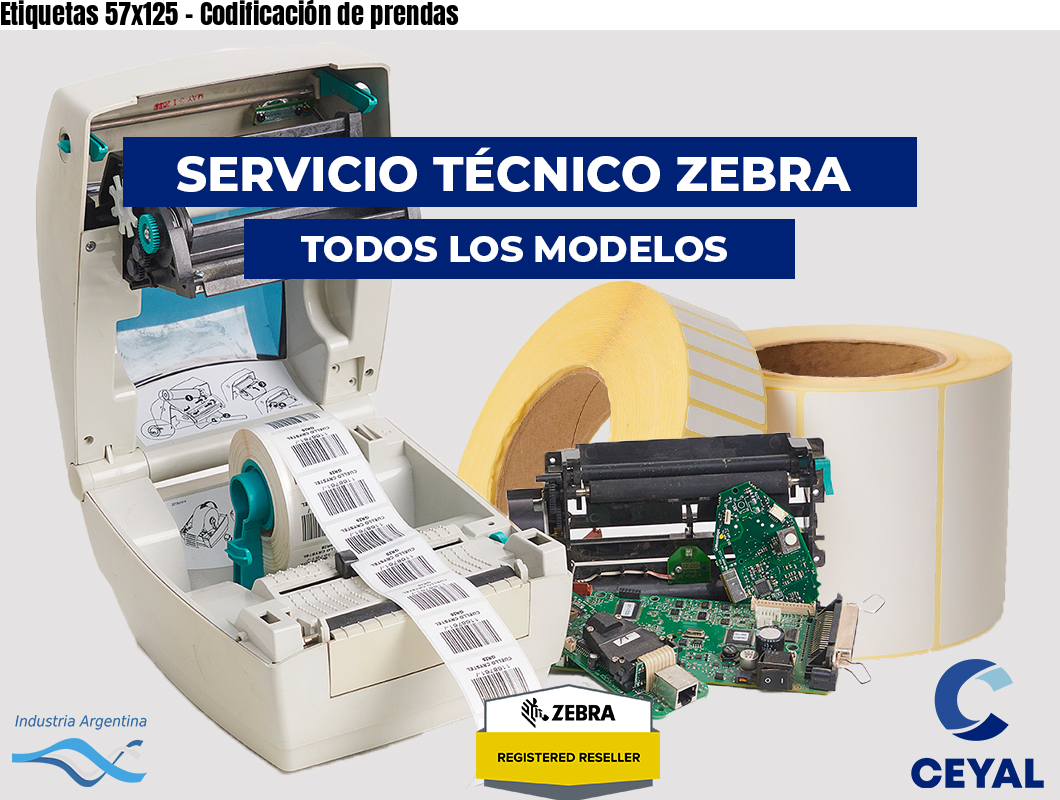 Etiquetas 57x125 - Codificación de prendas