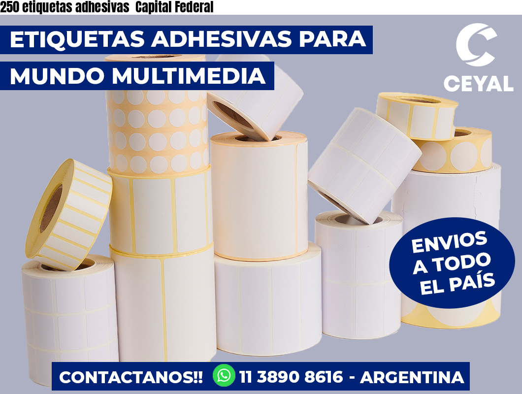 250 etiquetas adhesivas  Capital Federal