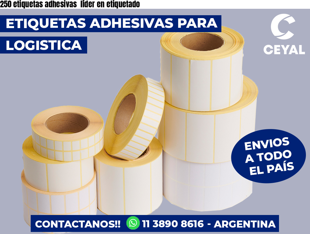 250 etiquetas adhesivas  líder en etiquetado