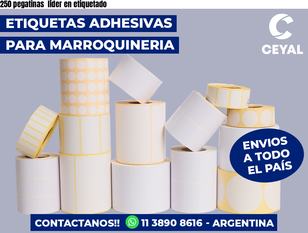 250 pegatinas  líder en etiquetado