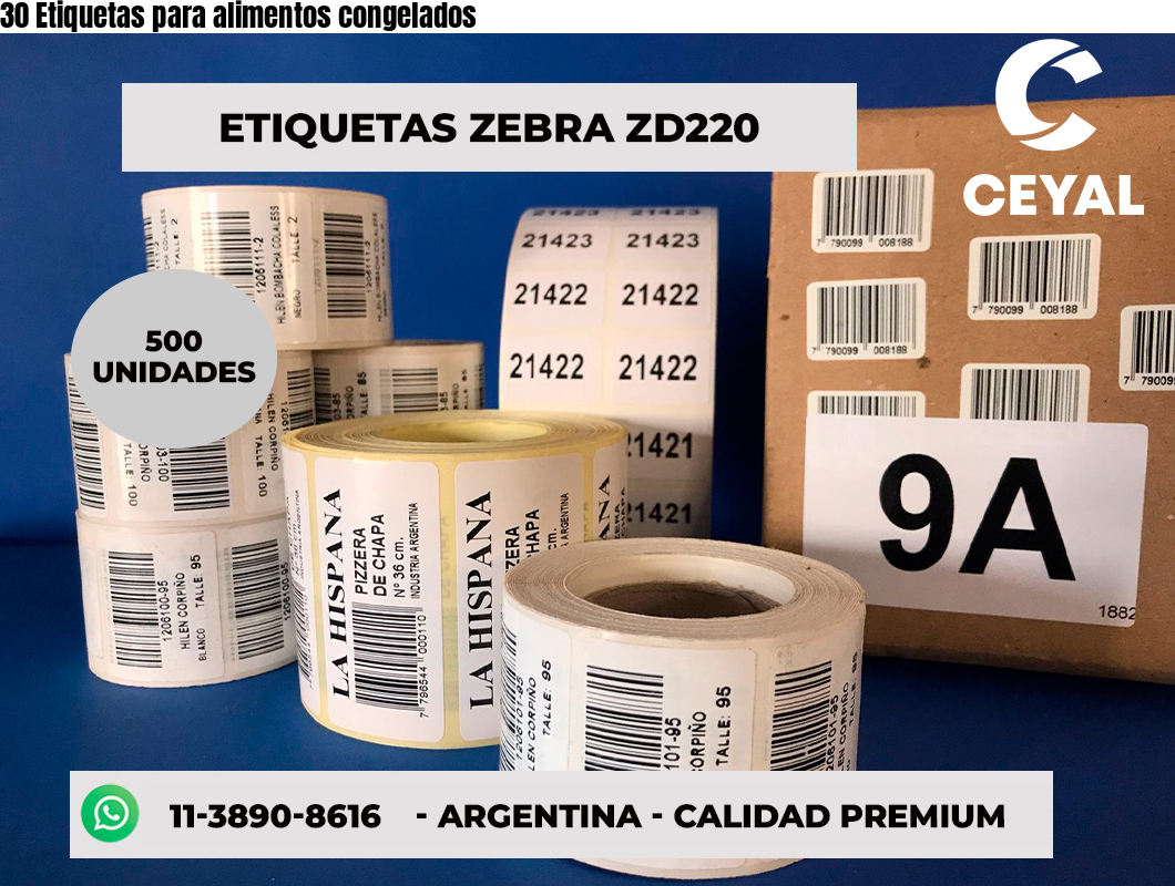 30 Etiquetas para alimentos congelados