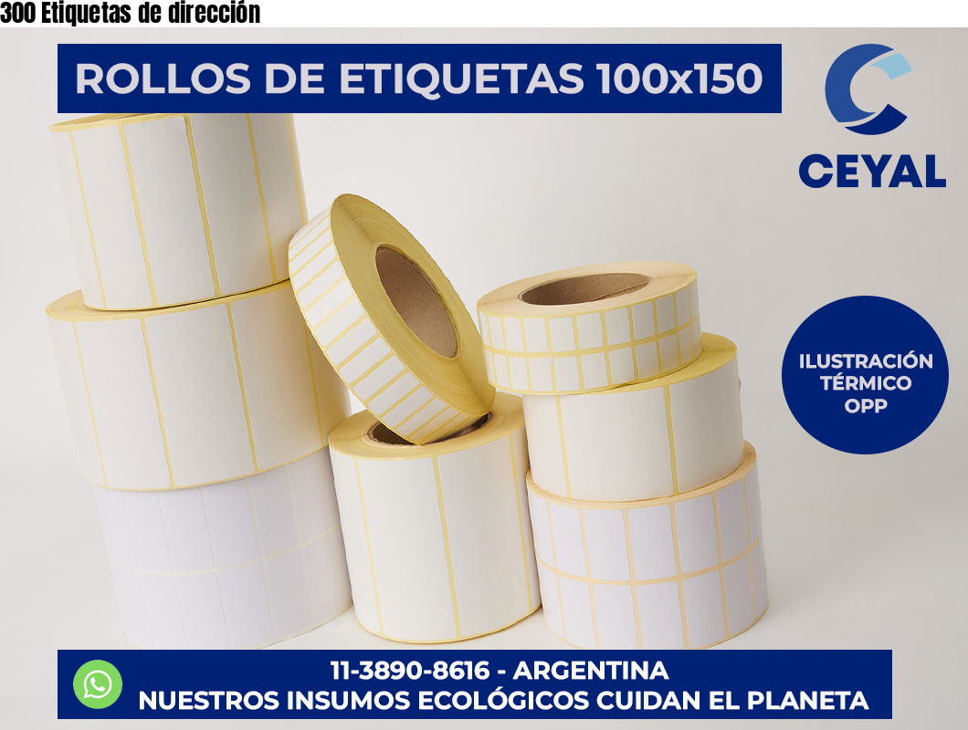300 Etiquetas de dirección
