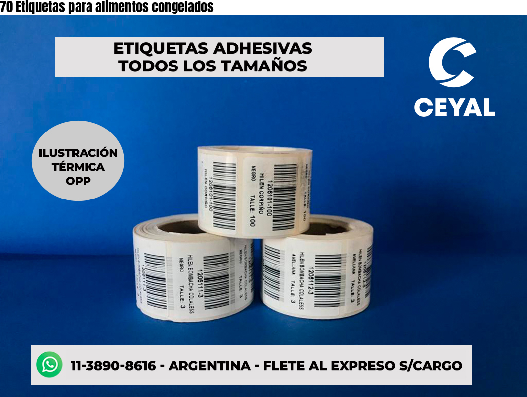 70 Etiquetas para alimentos congelados