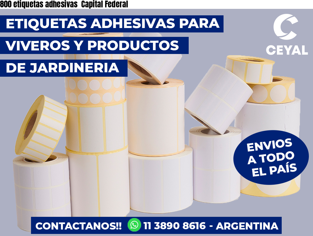 800 etiquetas adhesivas  Capital Federal