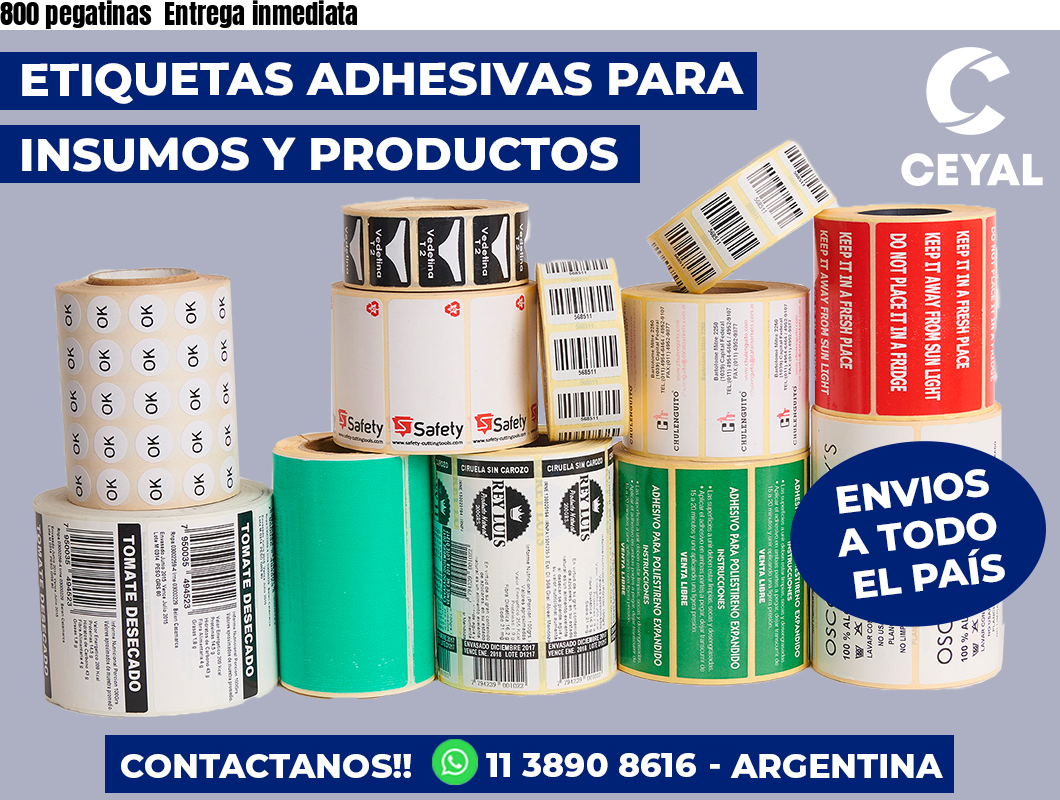 800 pegatinas Entrega inmediata