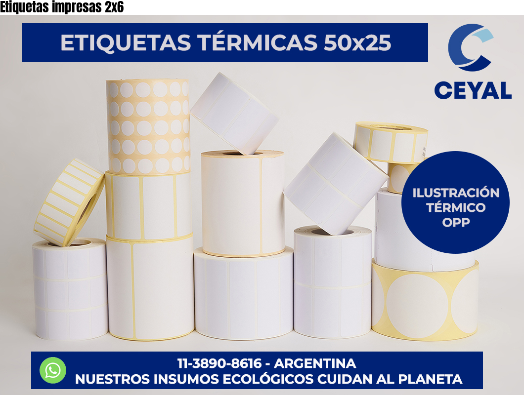 Etiquetas impresas 2×6