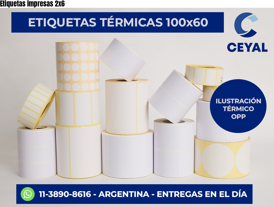 Etiquetas impresas 2×6