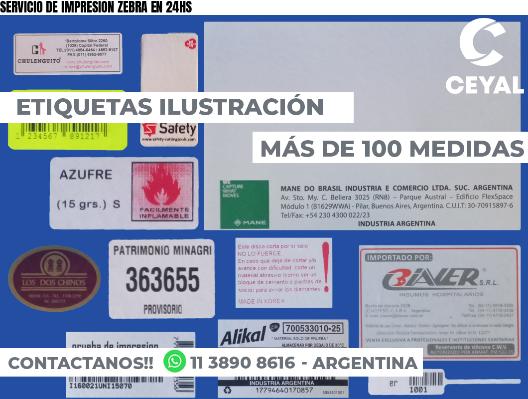 SERVICIO DE IMPRESION ZEBRA EN 24HS