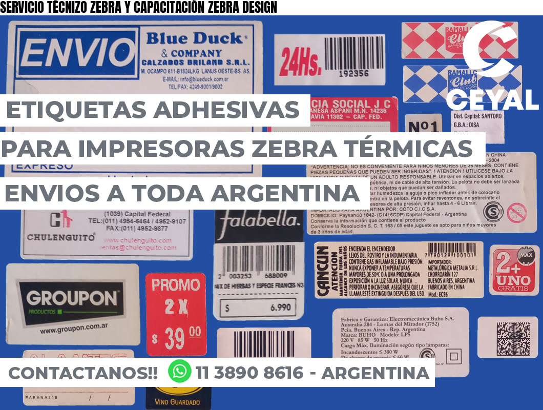 SERVICIO TÉCNIZO ZEBRA Y CAPACITACIÓN ZEBRA DESIGN