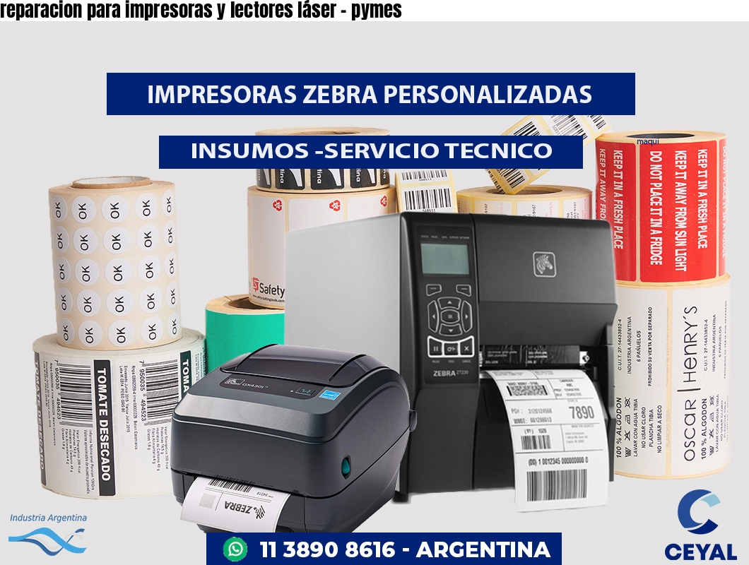 reparacion para impresoras y lectores láser - pymes