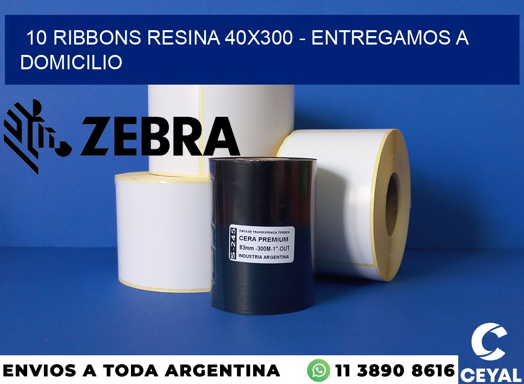 10 Ribbons resina 40x300 - entregamos a domicilio