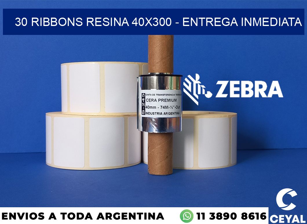 30 Ribbons resina 40x300 - Entrega inmediata
