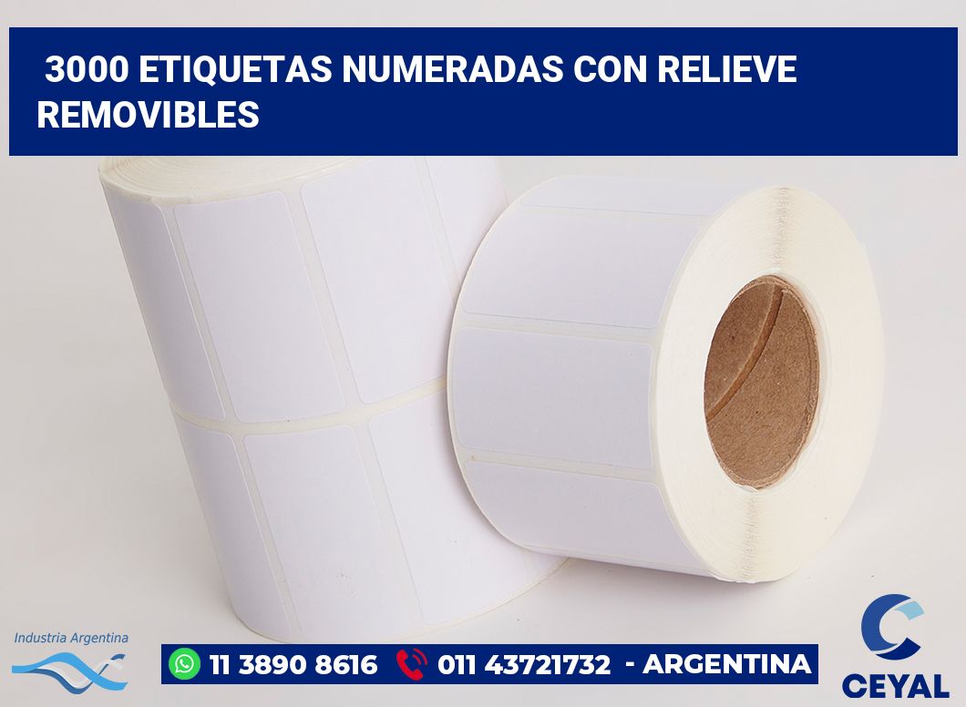 3000 Etiquetas numeradas con relieve removibles