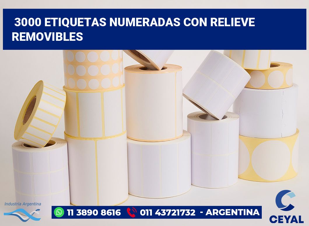 3000 Etiquetas numeradas con relieve removibles