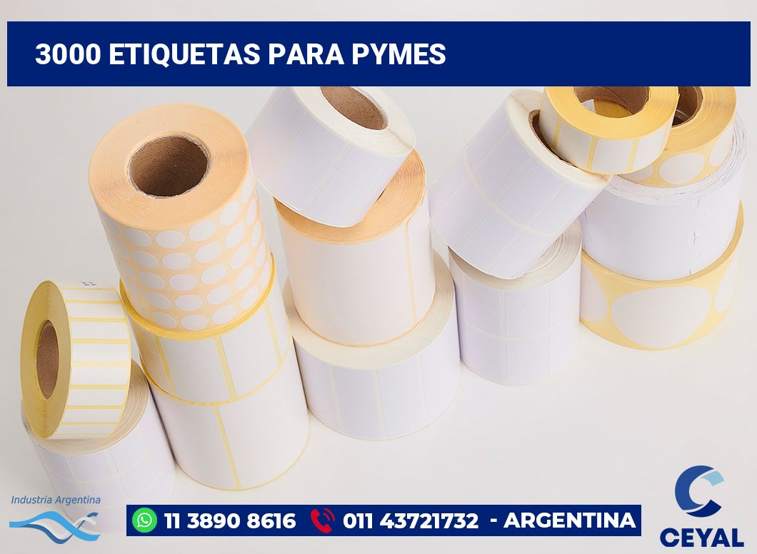 3000 Etiquetas para pymes