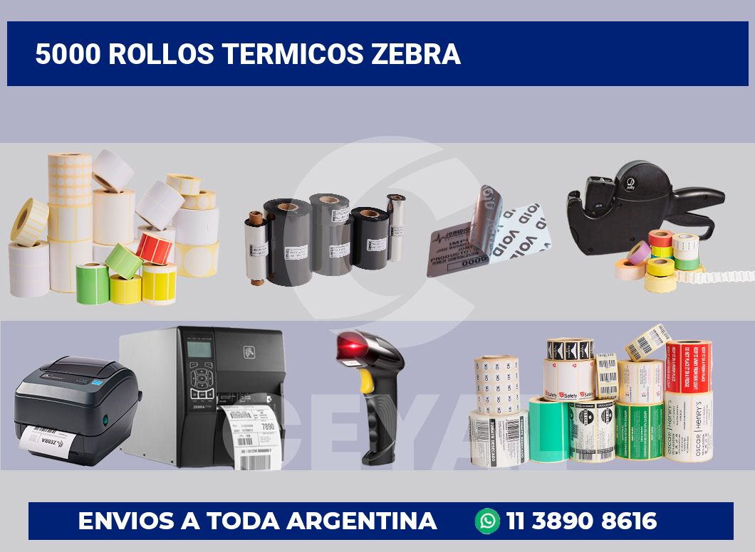 5000 Rollos termicos zebra