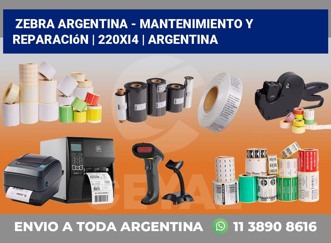 Zebra argentina – Mantenimiento y reparación | 220Xi4 | Argentina