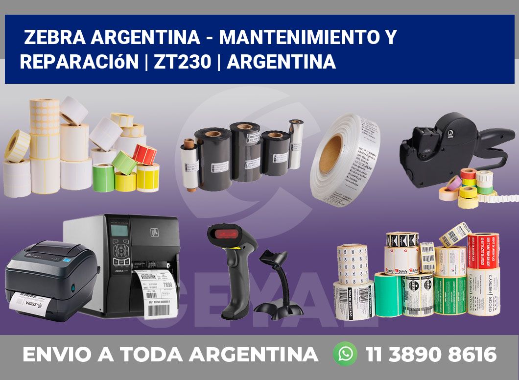Zebra argentina – Mantenimiento y reparación | zt230 | Argentina