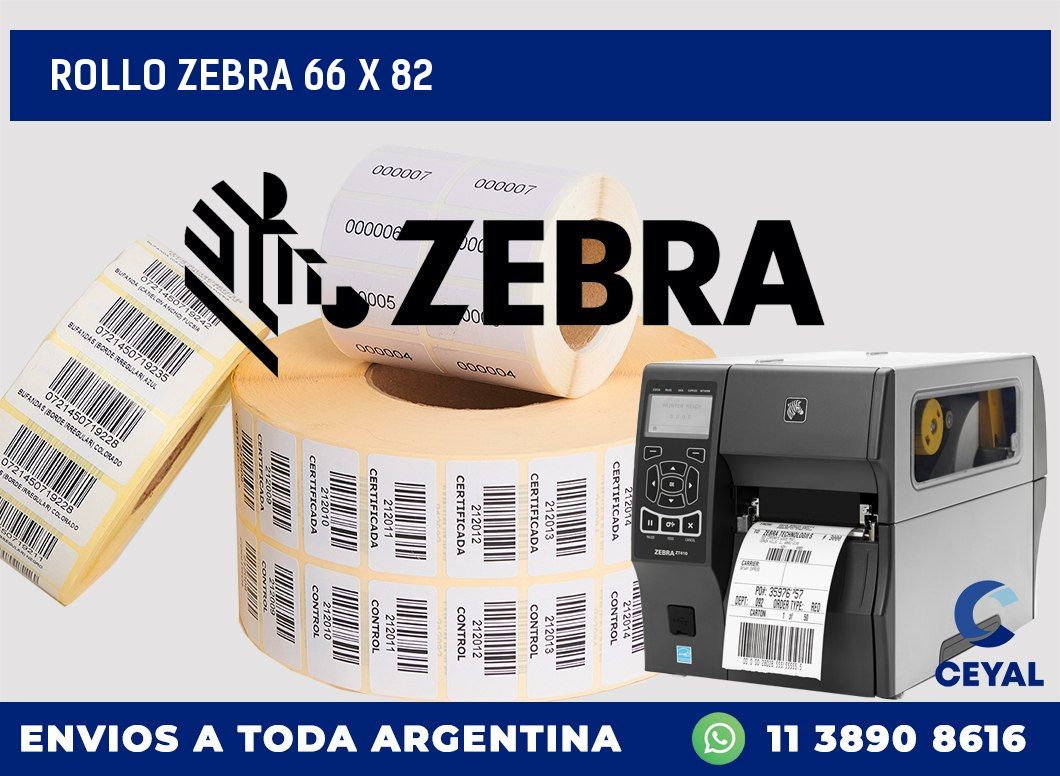 rollo zebra 66 x 82