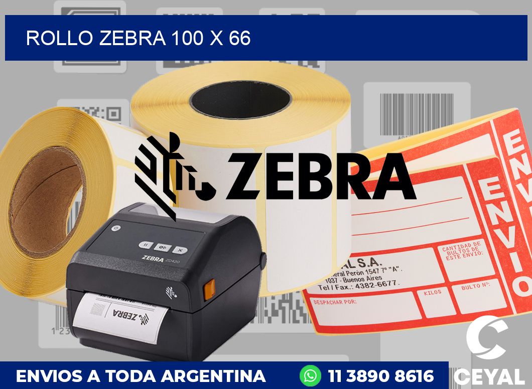 rollo zebra 100 x 66
