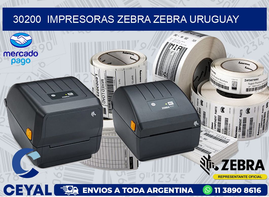 30200  IMPRESORAS ZEBRA ZEBRA URUGUAY