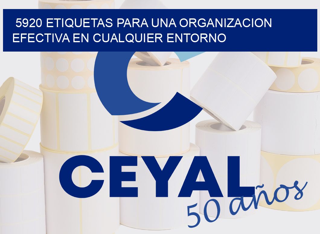 5920 ETIQUETAS PARA UNA ORGANIZACION EFECTIVA EN CUALQUIER ENTORNO