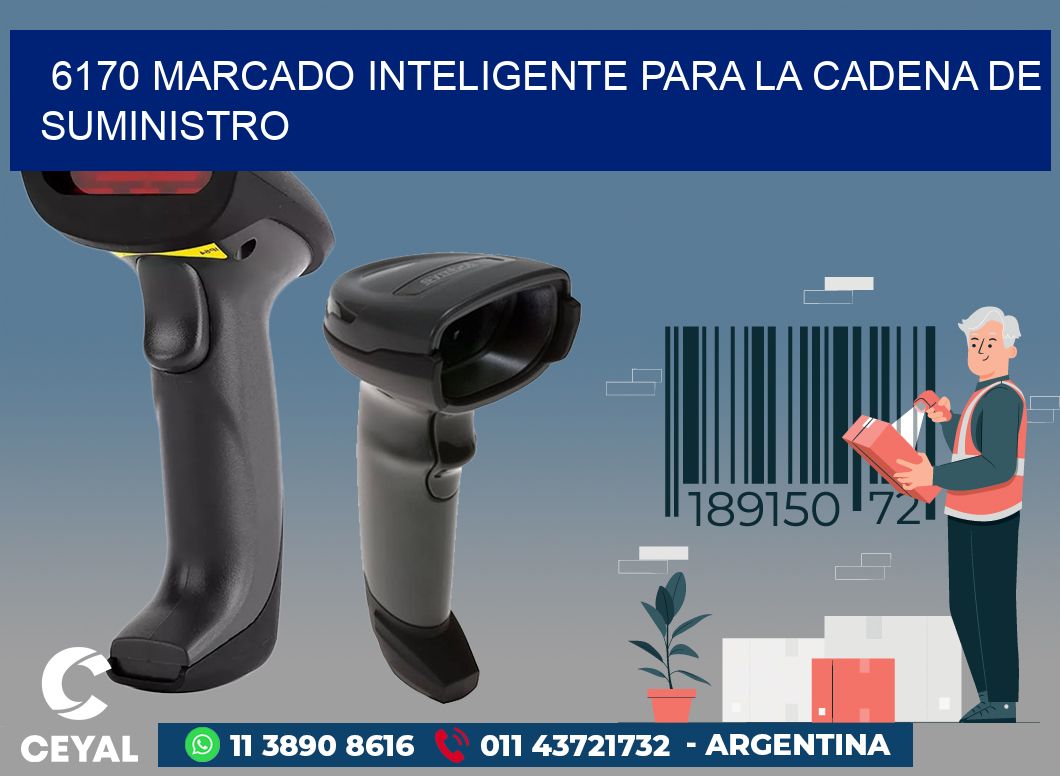 6170 MARCADO INTELIGENTE PARA LA CADENA DE SUMINISTRO