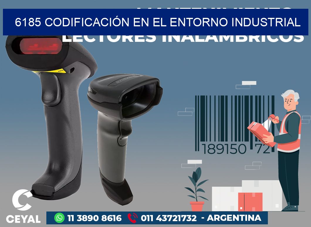 6185 CODIFICACIÓN EN EL ENTORNO INDUSTRIAL
