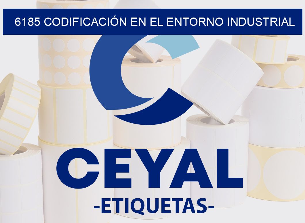6185 CODIFICACIÓN EN EL ENTORNO INDUSTRIAL