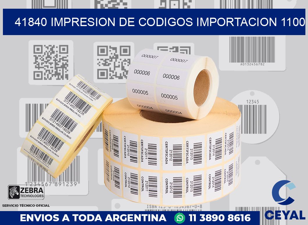 41840 impresion de codigos importacion 1100