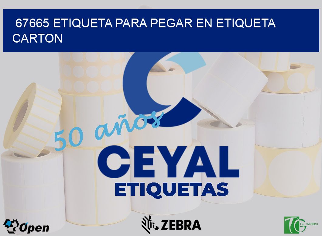 67665 ETIQUETA PARA PEGAR EN ETIQUETA CARTON