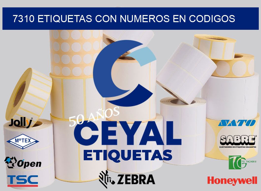7310 ETIQUETAS CON NUMEROS EN CODIGOS