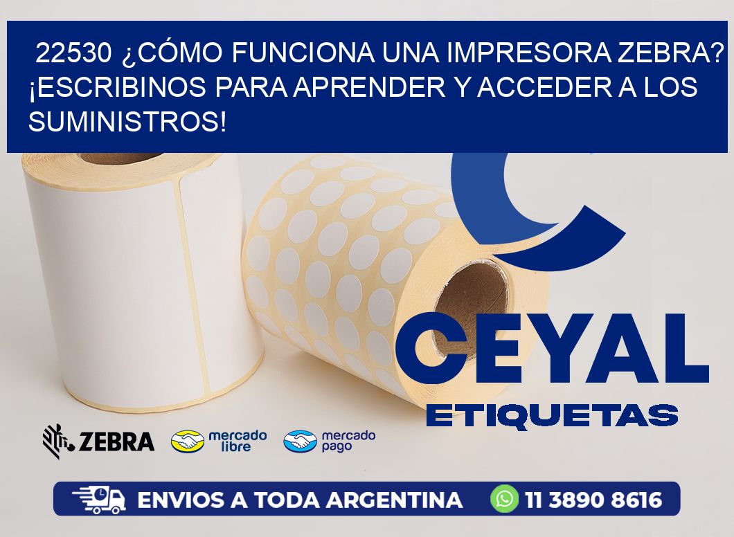 22530 ¿CÓMO FUNCIONA UNA IMPRESORA ZEBRA? ¡ESCRIBINOS PARA APRENDER Y ACCEDER A LOS SUMINISTROS!