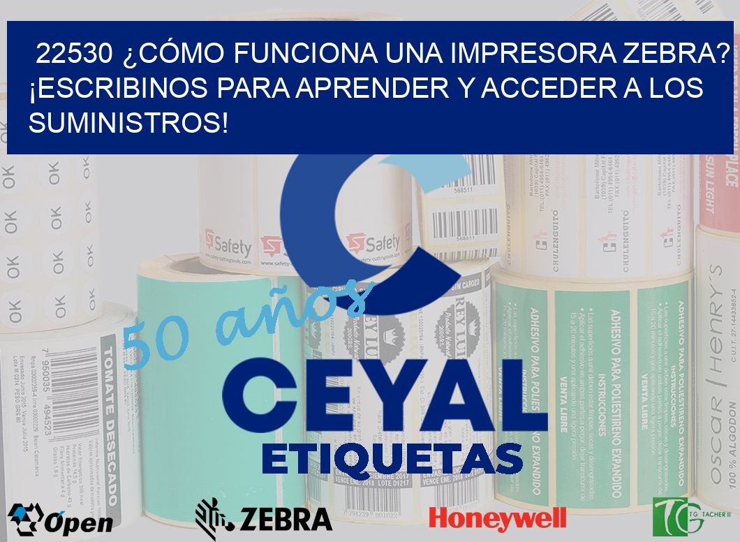 22530 ¿CÓMO FUNCIONA UNA IMPRESORA ZEBRA? ¡ESCRIBINOS PARA APRENDER Y ACCEDER A LOS SUMINISTROS!