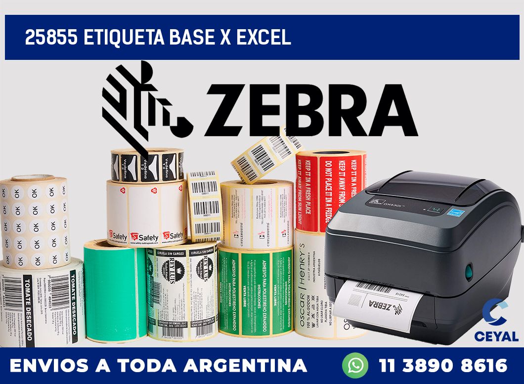 25855 etiqueta base x excel