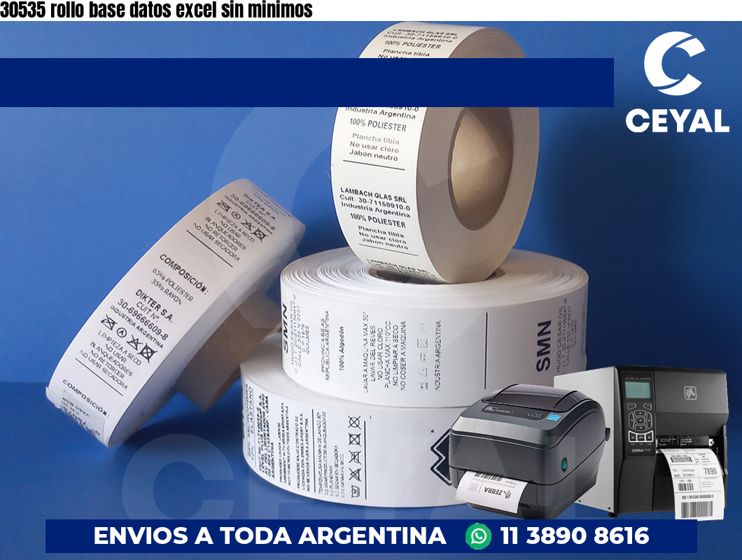 30535 rollo base datos excel sin minimos