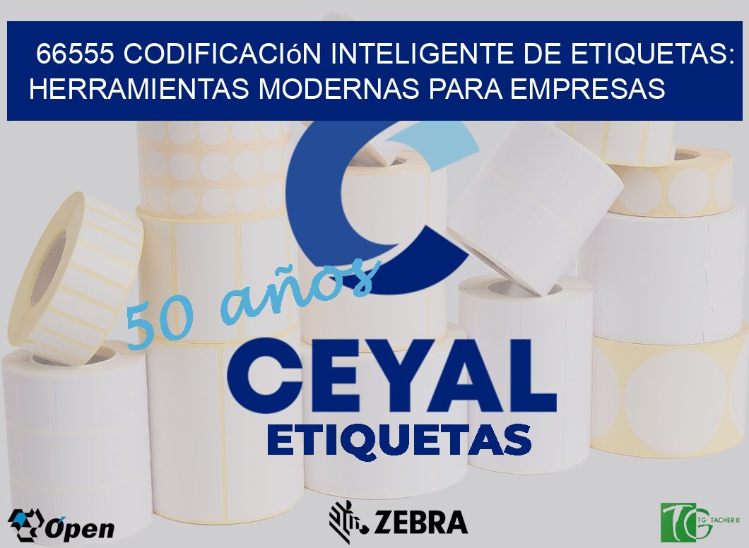 66555 Codificación Inteligente de Etiquetas: Herramientas Modernas para Empresas