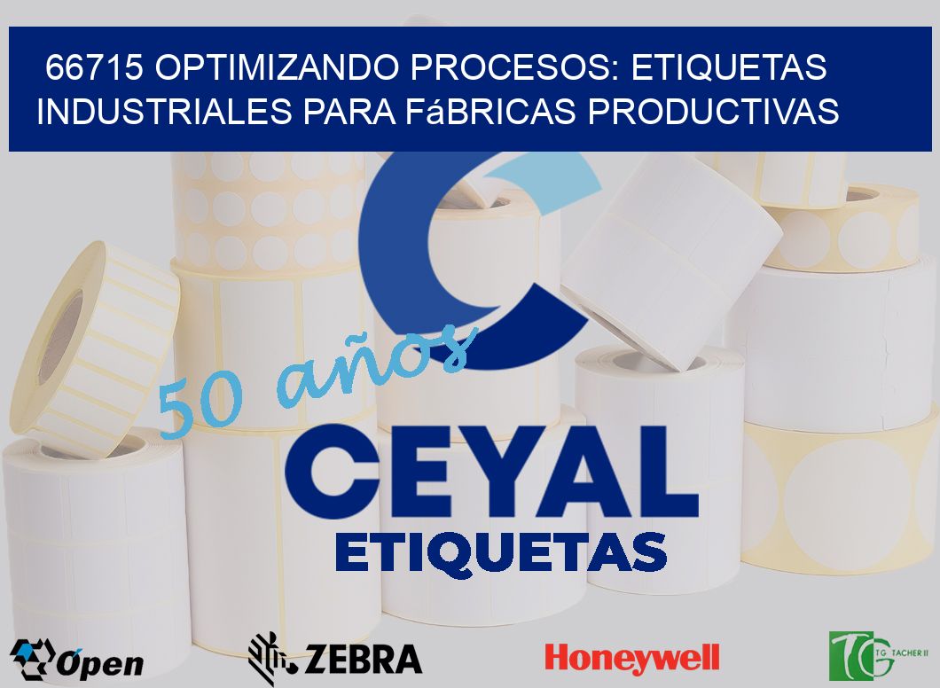 66715 Optimizando Procesos: Etiquetas Industriales para Fábricas Productivas