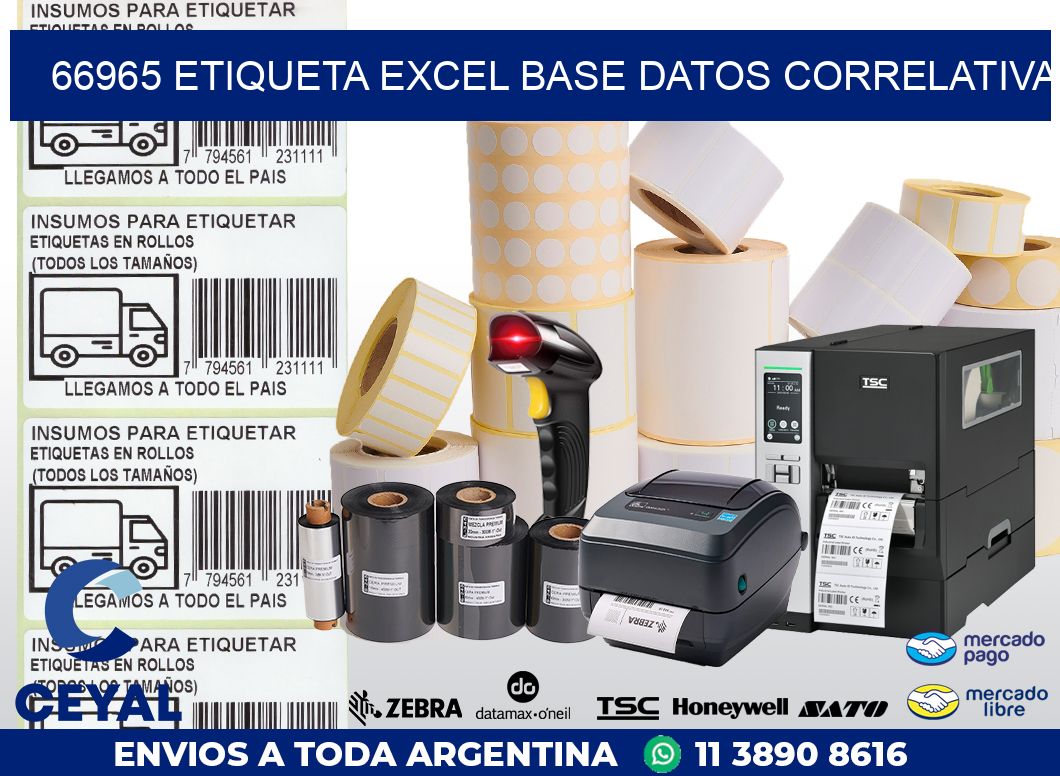 66965 etiqueta excel base datos correlativa