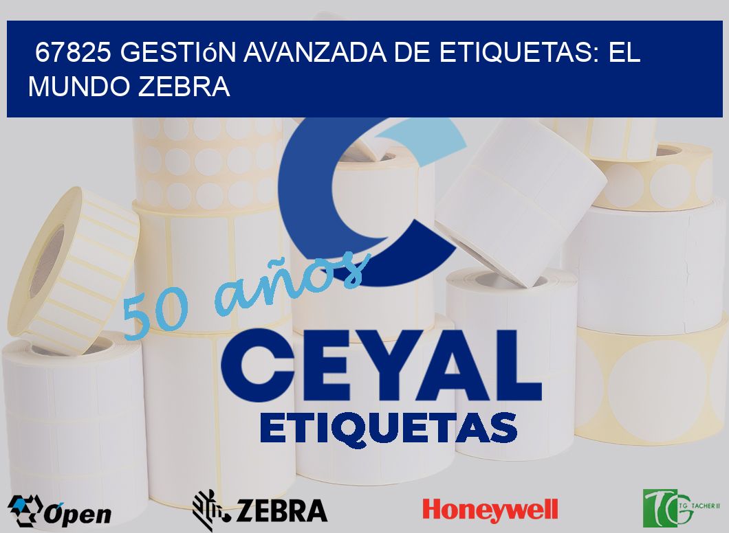 67825 Gestión Avanzada de Etiquetas: El Mundo Zebra