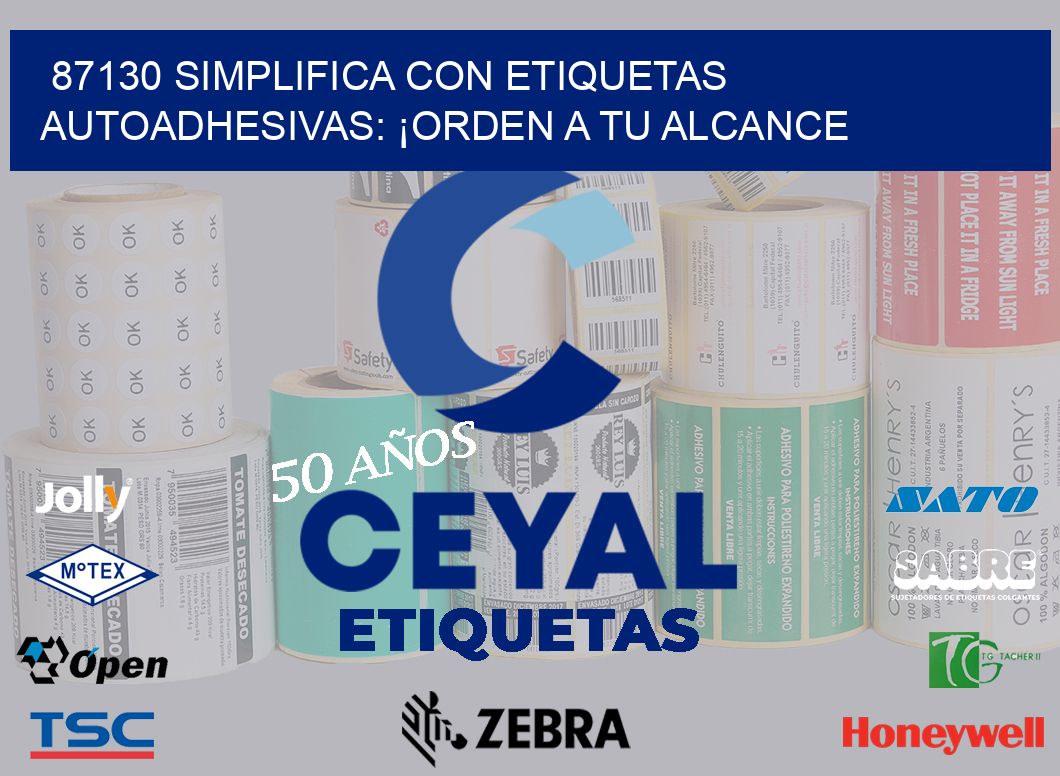 87130 Simplifica con Etiquetas Autoadhesivas: ¡Orden a tu Alcance