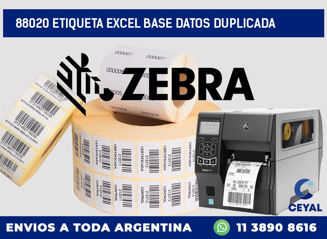 88020 etiqueta excel base datos duplicada