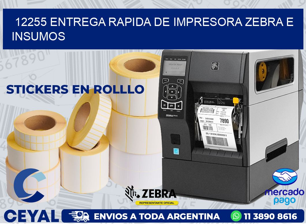 12255 ENTREGA RAPIDA DE IMPRESORA ZEBRA E INSUMOS
