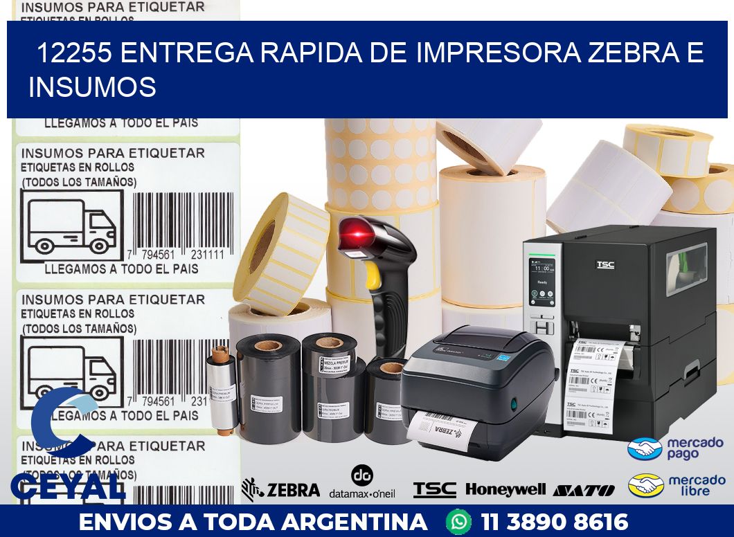 12255 ENTREGA RAPIDA DE IMPRESORA ZEBRA E INSUMOS