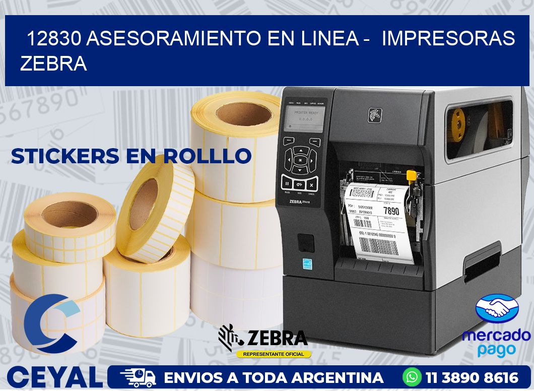 12830 ASESORAMIENTO EN LINEA -  IMPRESORAS ZEBRA