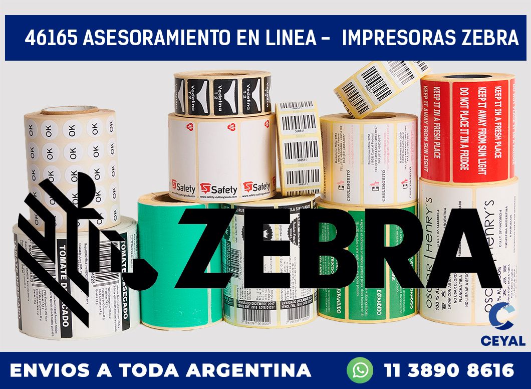 46165 ASESORAMIENTO EN LINEA –  IMPRESORAS ZEBRA