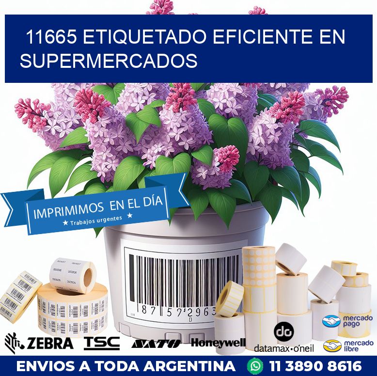 11665 ETIQUETADO EFICIENTE EN SUPERMERCADOS