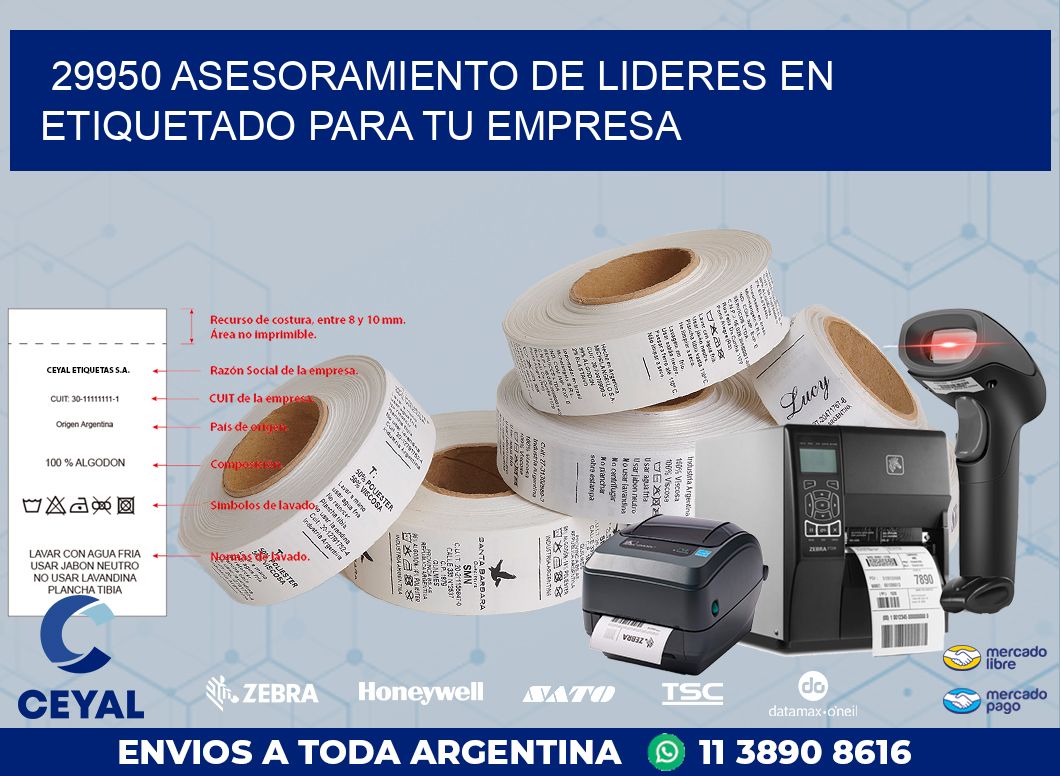 29950 ASESORAMIENTO DE LIDERES EN ETIQUETADO PARA TU EMPRESA