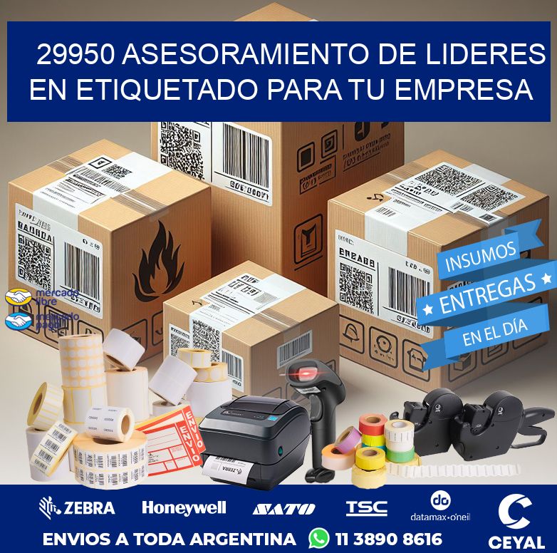 29950 ASESORAMIENTO DE LIDERES EN ETIQUETADO PARA TU EMPRESA