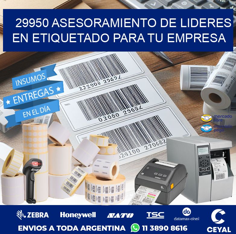 29950 ASESORAMIENTO DE LIDERES EN ETIQUETADO PARA TU EMPRESA